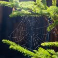 s_IMG_4806