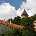 s_IMG_4842