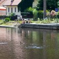 s_IMG_4852