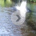 Mvi_1794