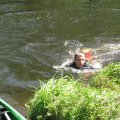 s_IMG_1790