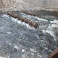 s_IMG_1861