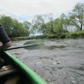 s_IMG_5761