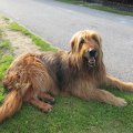 s_IMG_5798