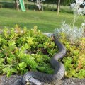 s_IMG_5807