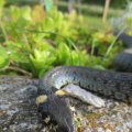 s_IMG_5808
