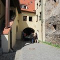 s_IMG_5895