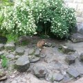 20130616_175948