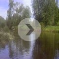 Ptdc0226-63