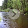 Ptdc0233-69
