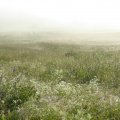 s_P1000439