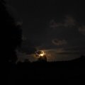 s_P1000453