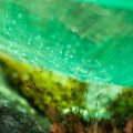 20150711_165236_LOE_3500