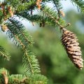 20150711_165855_LOE_3504