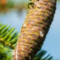 20150711_165914_LOE_3505