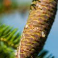 20150711_165923_LOE_3506