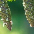 20150711_165944_LOE_3507