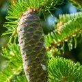 20150711_170114_LOE_3510