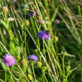 20150711_190837_LOE_3527