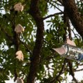 20150711_203935_LOE_3546