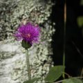 20150712_092352_LOE_3580