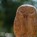 20150712_101308_LOE_3587
