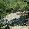 20150712_113042_LOE_3594