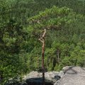 20150712_113555_LOE_3607