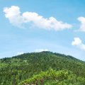 20150712_113600_[Group_1]-LOE_3608_LOE_3610-3_images