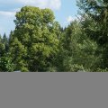 20160709-171847-LOE_3269
