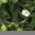 20160709-171958-LOE_3270