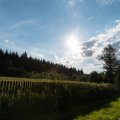 20160709-185643-LOE_3272