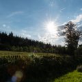 20160709-185655-LOE_3273