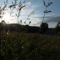 20160709-195212-LOE_3326