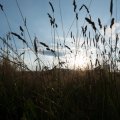 20160709-195250-LOE_3327