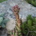 20160709-195752-LOE_3333