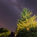 20160710-000026-LOE_3376-Pano
