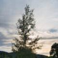 20170630-192100_LOE_4789