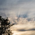 20170630-192244_LOE_4792