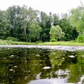 20170701-101447_PTDC0016