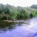 20170701-114701_PTDC0021