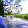 20170701-115314_PTDC0031