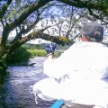 20170701-115353_PTDC0032
