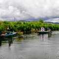 20170701-120110_PTDC0034