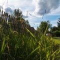 20170701-171850_LOE_4821