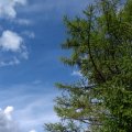 IMG_20170701_172230897