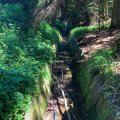 20180630-142956-IMG_5083
