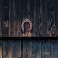20180630-210705-LOE_8432-Bearbeitet
