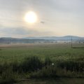 IMG_2438