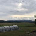 IMG_2462